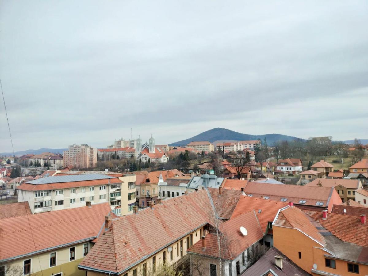 Nexus Center Apartment Miercurea Ciuc Exterior photo